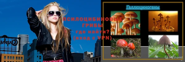 MESCALINE Горняк