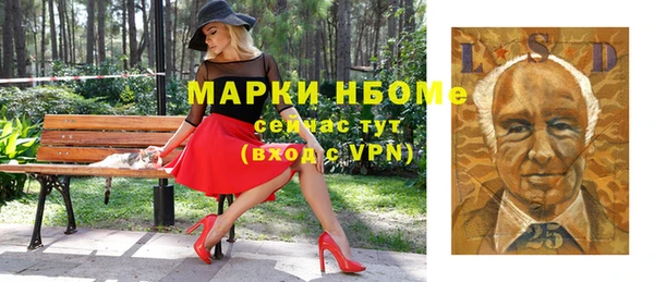 шишки Мегион