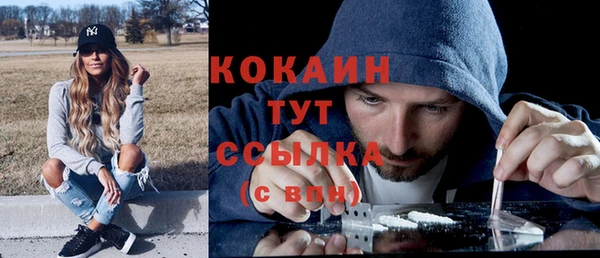 MESCALINE Горняк