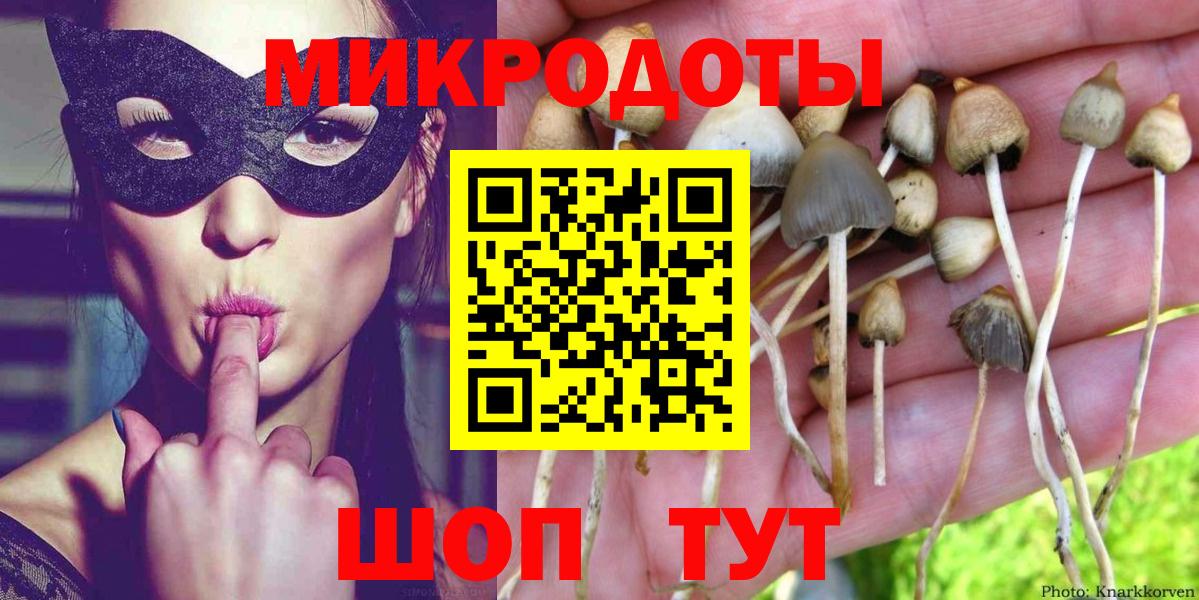 Галлюциногенные грибы Magic Shrooms Междуреченск
