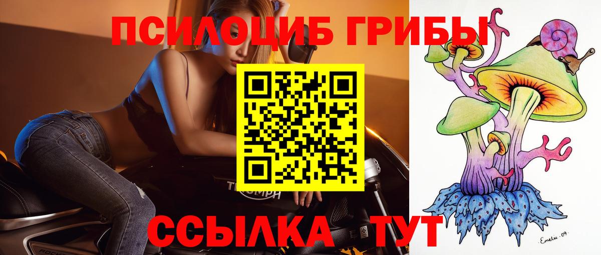 Псилоцибиновые грибы прущие грибы  Вход с VPN  Междуреченск 